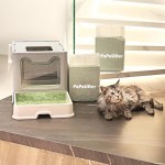 【PoPoLitter】 Cat Litter 12LB/2 Packs Dust-Free Clumping Tofu Cat Litter Quickly Absorb Cat Odors Cat Toilet Can Flush Into The Toilet Pure Natural cat tofu Litter (Green Tea)